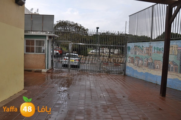 Idrab yaffa abo3azi (16).JPG